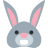 🐰