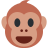 🐵