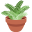potted plant
