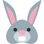 :rabbit: