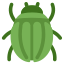 :beetle: