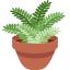:potted_plant: