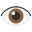 eye
