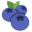 blueberries